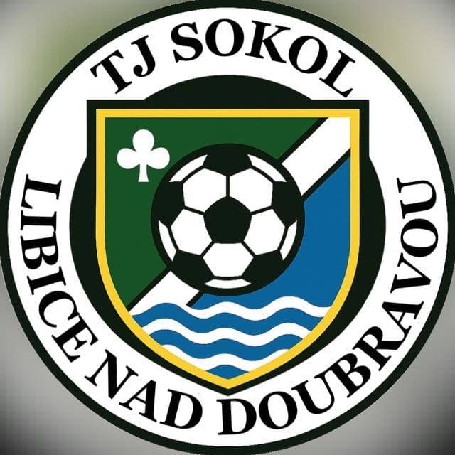 Wappen TJ Sokol Libice nad Doubravou