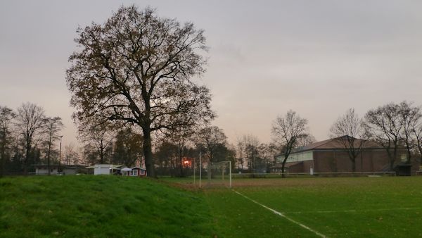 SwanCity-Arena - Kiebitzreihe