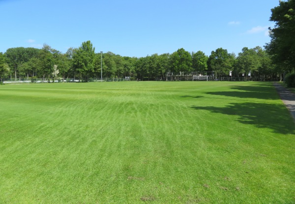 Sportpark Ter Specke veld 9 - Lisse