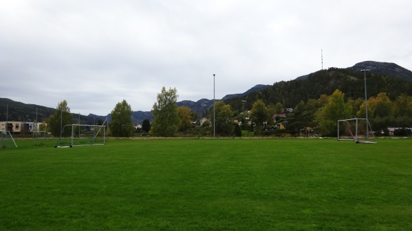 Eventyrøy gress - Seljord
