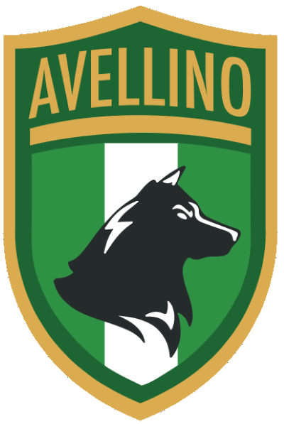 Wappen SSD Città di Avellino  77809