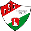 Wappen TSG 1892 Stadtbergen diverse  84782