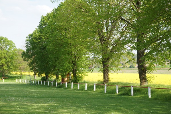 Sportplatz Rhünda - Felsberg-Rhünda