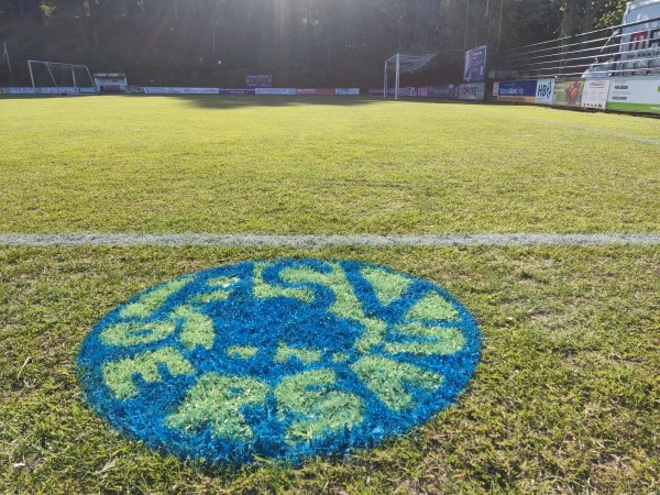 Waldstadion - Dersau