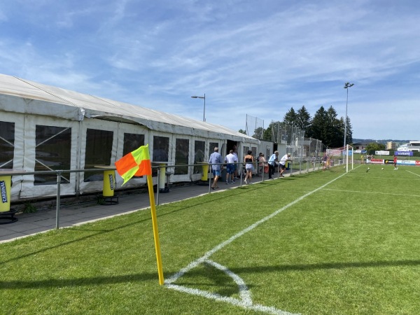 Parc des Sports Nestlé (Ronclina) - La Tour-de-Trême