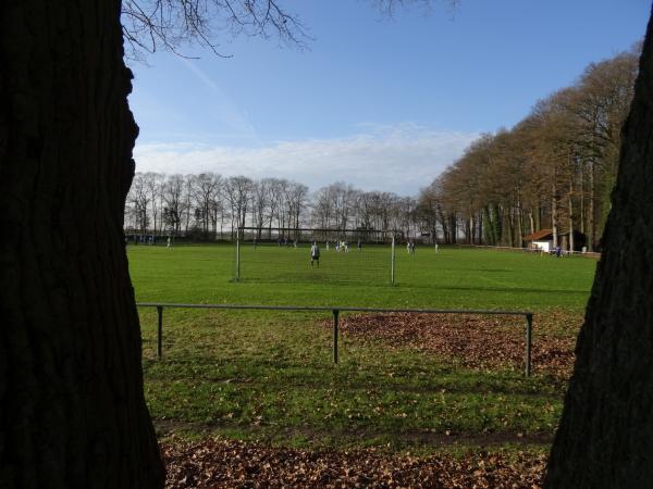 Allerkampfbahn B-Platz - Hodenhagen