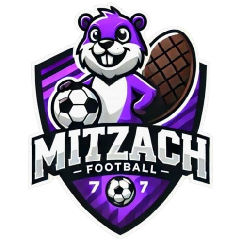 Wappen Mitzach Football 77  136538