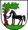Wappen TJ Slezské Rudoltice