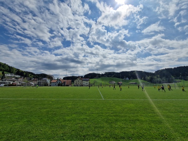 Sportplatz Wies - Heiden