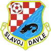 Wappen TJ Slavoj Davle  105358
