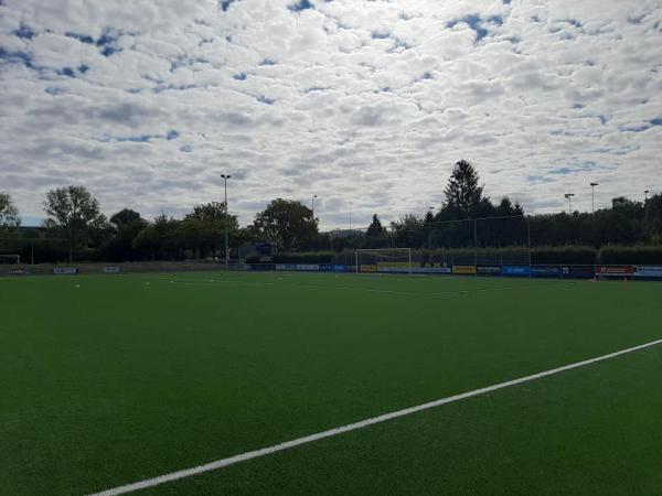 Sportpark De Peppelensteeg veld 1-Blauw Geel '55 - Ede GLD
