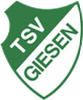 Wappen TSV Giesen 1911 diverse  89871