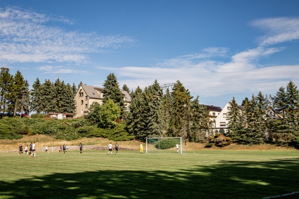 Waldstadion - Reinsdorf/Sachsen-Vielau