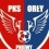 Wappen PKS Orly Pniewy  25883