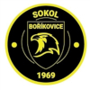 Wappen Sokol Boříkovice