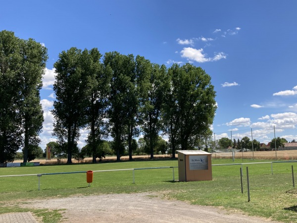 Sportplatz Am Dreesch - Stendal-Insel