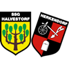 Wappen SSG Halvestorf/Herkendorf 1947 diverse  90023
