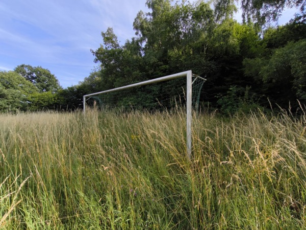 Sportplatz Anschau - Anschau