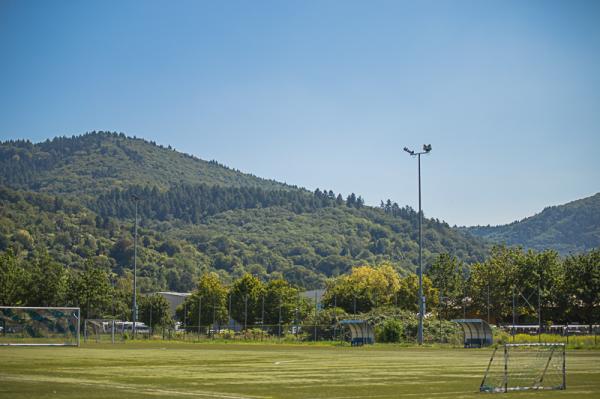 Jahnsportplatz 2 - Dossenheim