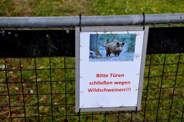Der Platz musste zweimal binnen weniger Jahre saniert werden, nun wurde ein komplett umlaufender Zaun angebracht