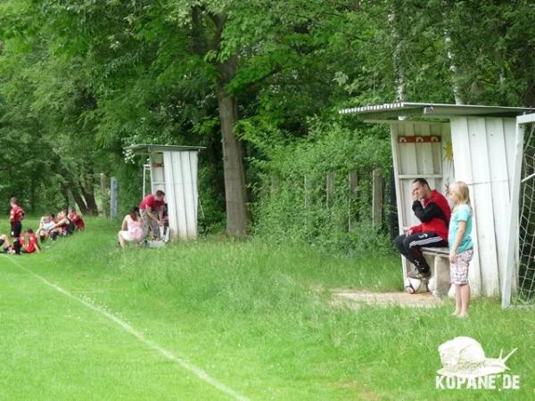 Sportplatz Muldenpromenade - Zwickau