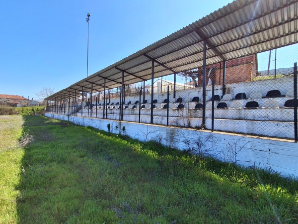 Gipedo Thyella Peristerona - Peristerona