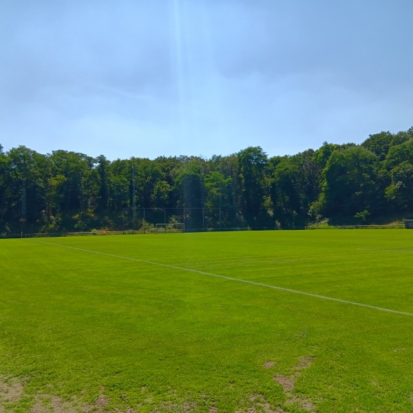De Koel 2 - Venlo