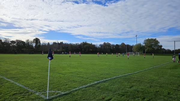Queens Sports Upper Malone pitch 15 - Belfast