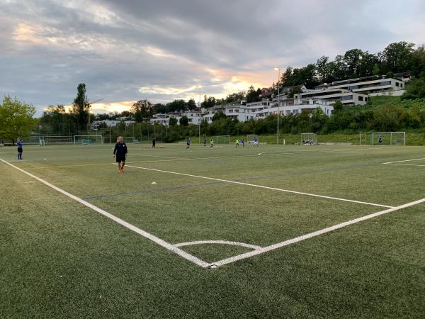 Sportzentrum Allmend Platz 3 - Meilen