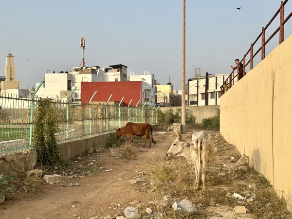 Stade Municipal de Yoff - Dakar