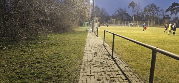 Waldstadion Nebenplatz - Hockenheim