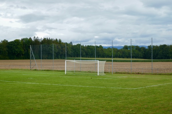 Terrain de la Praz - Bercher