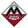 Wappen SpVgg. Mitterdorf 1963 diverse