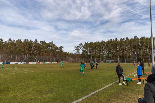 Waldsportanlage Platz 2 - Schwanstetten-Leerstetten