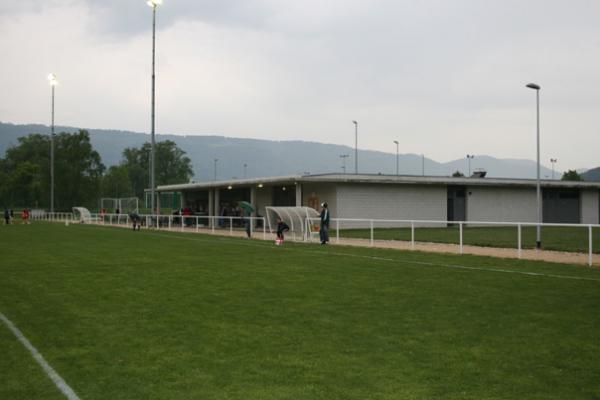 Alter Zustand (Naturrasen)