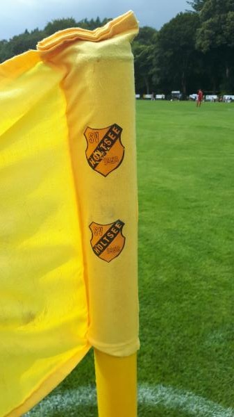 Waldstadion - Holtsee