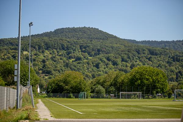 Jahnsportplatz 2 - Dossenheim