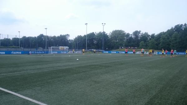 Trainingszentrum an der Arena Platz 5 - Gelsenkirchen-Buer