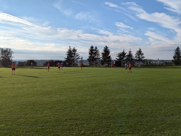 Sportgelände am Kreuzfeld Platz 3 - Maxhütte-Haidhof-Leonberg