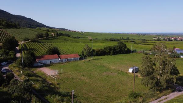 Sportplatz Am Schloßberg - Burrweiler