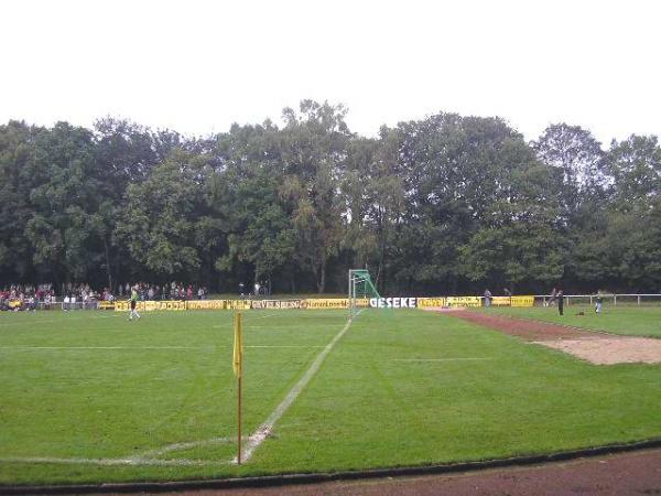 Volksbank-Stadion im Volksgarten - Dortmund-Mengede