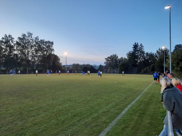 Sportanlage Blaubeurer Straße Platz 2 - Erbach/Donau-Ringingen