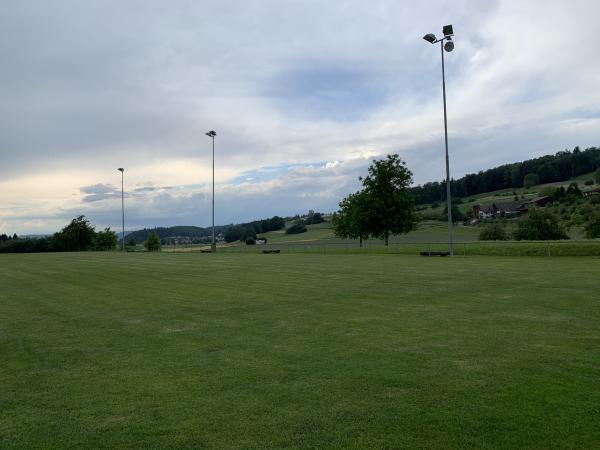 Sportplatz Musterplatz B - Seengen