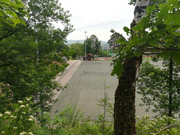 Waldstadion Nebenplatz 1 - Eisenberg/Pfalz