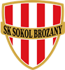Wappen SK Sokol Brozany diverse