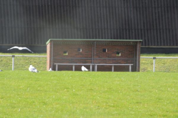 Sportzentrum Unterstadt (alt) - Kleve-Kellen