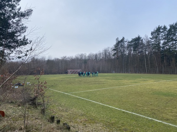 Sportzentrum Langwasser-Süd Platz 3 - Nürnberg-Moorenbrunn