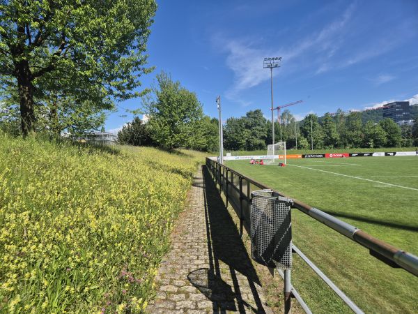 Stadion Herti Allmend - Zug