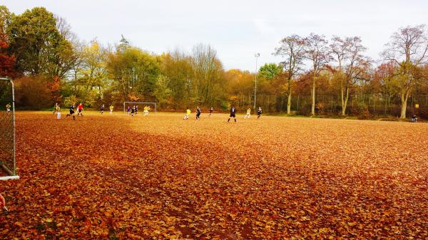 Sportanlage Auf dem Sepp Platz 2 - Bad Salzuflen-Lockhausen