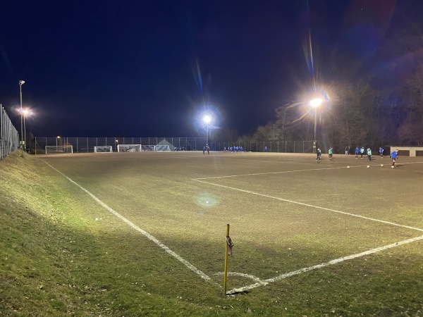 Waldsportanlage Platz 3 - Ammerndorf